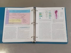 A Photographic Atlas of Developmental Biology Textbook by Shirley J Wright