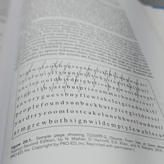Multisensory Teaching of Basic Language Skills by Suzanne Carreker, Graham…