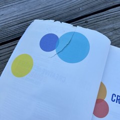 Creative Activities and Curriculum for Young Children 11th Eleventh Edition