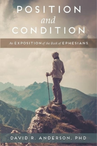 David R Anderson Position and Condition (Paperback) (UK IMPORT)