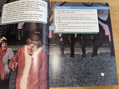 RARE – The riverside reading program: previews – level 13