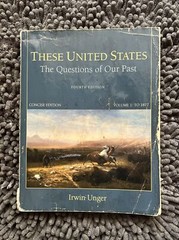 These United States Vol. 1 : The Questions of Our Past, Concise Edition, Volume