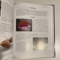 Apologia Exploring Creation With Zoology Set: Books 1, 2 & 3