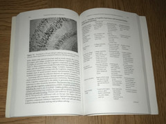 EXPRESSIVE THERAPIES CONTINUUM BOOK A FRAMEWORK FOR USING ART IN THERAPY L HINZ