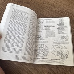 The Physiology Coloring Book 2nd Edition (1999, Trade Paperback)