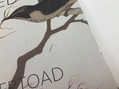 Julie Speed Undertoad Art Book Graphic Gothic Surreal Absudist Artwork Preowned