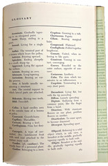 The Illustrated Flora of Illinois Ser.: Grasses: Panicum to Danthonia by Robert