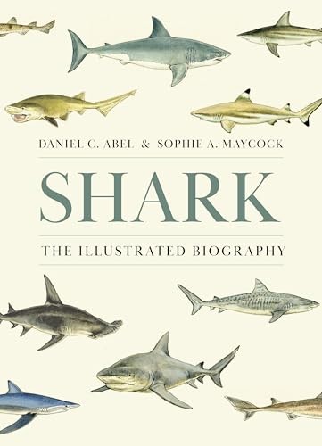 Shark: The Illustrated Biograp – GOOD