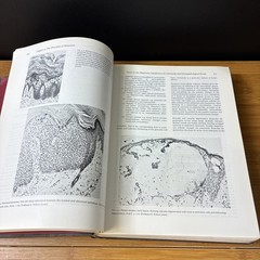 Textbook of Dermatology Vol 1 Fourth Edition (Hardcover, 1986) Blackwell Vintage