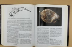 Oceanic Anglerfishes: Extraordinary Diversity in the Deep Sea Theodore W Pietsch