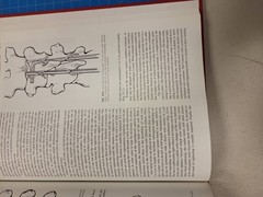 Current Techniques in Spinal Stabilization Fessler Haid 1996 Neurosurgery Spine