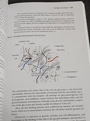 The Fasciae: Anatomy, Dysfunction and Treatment (Textbook Mint Condition)