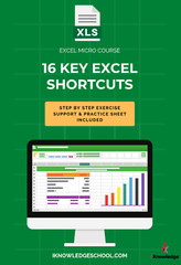 🎓 Microsoft Excel Micro Course – Master 16 Essential Shortcuts (Digital)