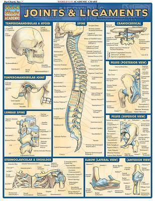 Joints & Ligaments QuickStudy Laminated Reference Chartce (QuickStudy Academic),