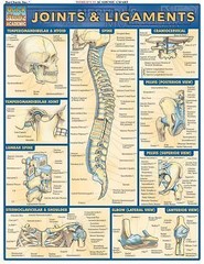 Joints & Ligaments QuickStudy Laminated Reference Chartce (QuickStudy Academic),