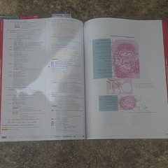 AHIMA Press ICD-10-CM Code Book 2025 Illustrated Anne B. Casto AC221024