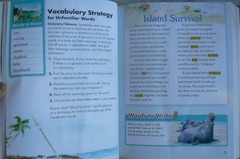 Scott Foresman Reading Street, gr. 5/5th LN Text & NEW Workbook! 2009