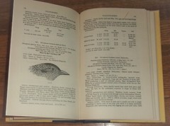 HANDBOOK OF THE BIRDS OF INDIA & PAKISTAN, 2nd Edition, Vol. 4-SUPERB Rare HC DJ