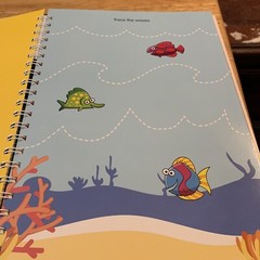 Scholastic Pre-K Trace and Write Wipe-Clean Activity Spiral Paperback Book