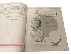 A Visual Analogy Guide to Human Anatomy, 3rd Ed. Paul Krieger Exam Copy – GOOD