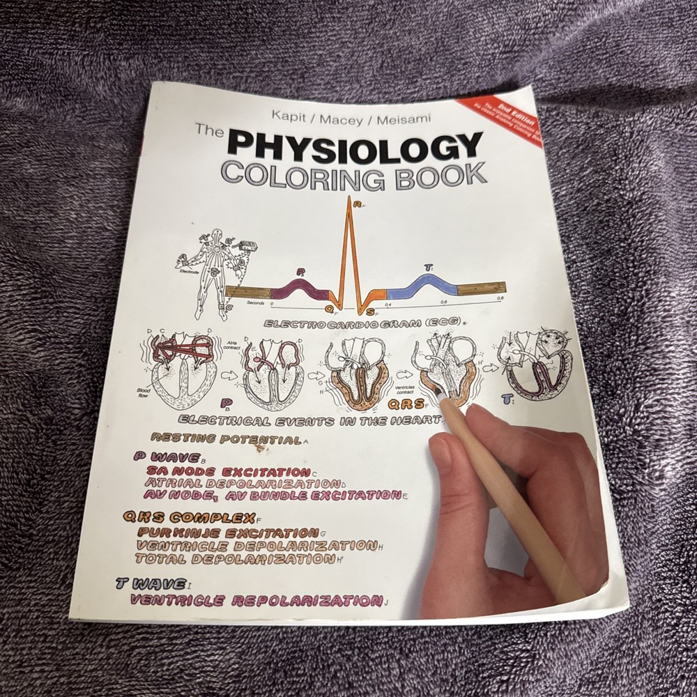 Physiology Coloring Book by Wynn Kapit, Esmail Meisami and Robert Macey (1999,)