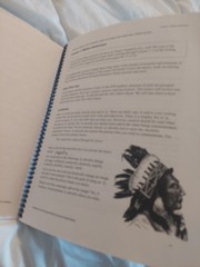IEW Advanced U.S. History-Based Writing Lessons Student Book By Lori Verstegen