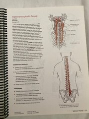 TRAIL GUIDE TO THE BODY SECOND EDITION BY ANDREW BIEL
