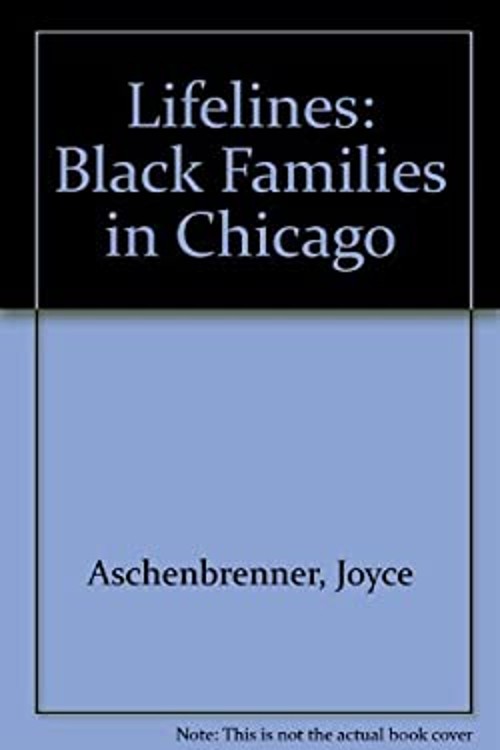 Lifelines : Black Families in Chicago Paperback Joyce Aschenbrenn