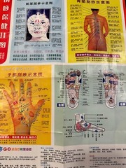 16 Charts, Posters & Booklets Acupuncture in Chinese