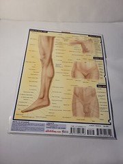 Surface Anatomy by Vincent Perez (2003, Book, Other)