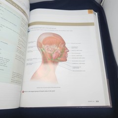 Principles of Human Anatomy, 11th Edition by Gerard J. Tortora and Mark T. Niels