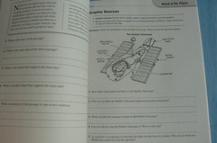 Scott Foresman Reading Street, gr. 5/5th NEW Workbook! 2009