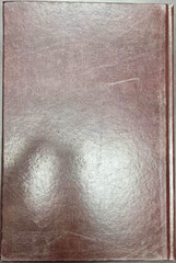 North American Journals of Prince Maximilian of Wied Vol. 1 : May 1832-April…