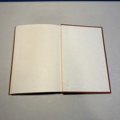 “Theory of Vibrational Spectroscopy” by D. Steele/ 1971 1st Printing VGC RARE