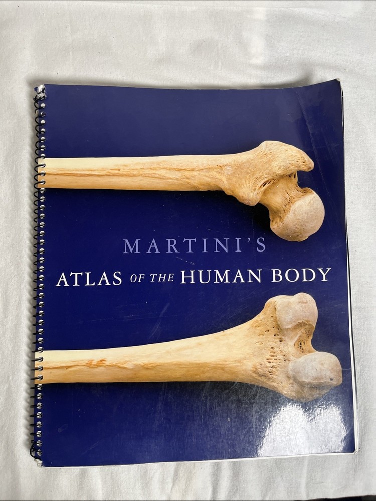Martini’s Atlas of the Human Body By Pearson, 2014, Spiral Bound PB, 160 Pages