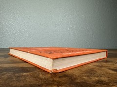 PROJECTIVE GEOMETRY CREATIVE POLARITIES IN SPACE AND TIME BY OLIVE WHICHER 1971