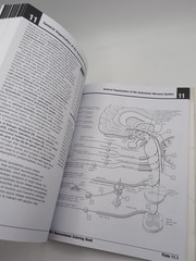 Netter’s Neuroscience Coloring Book with CODE READ