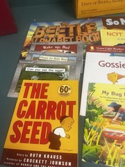 Lucy Calkins Units of Study Reading Grade K Homeschool Curriculum