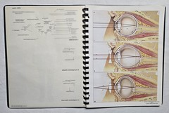 Schick Notebook Charts Human Anatomy Softcover Spiral Bound Book (1987)