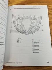 Dental Anatomy Coloring Book (2018, Trade Paperback) 3rd Edition