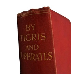 BY TIGRIS AND EUPHRATES E.S. Stevens Red Cover 1923 1st Edition Rare Good