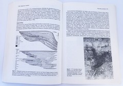 Mass Extinctions and Their Aftermath by A Hallam & P B Wignell